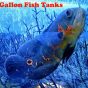 Best 55 Gallon Fish Tanks