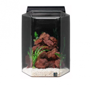 best acrylic aquariums